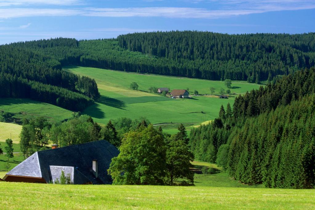 Gaestehaus Waldeck Titisee-Neustadt Eksteriør billede
